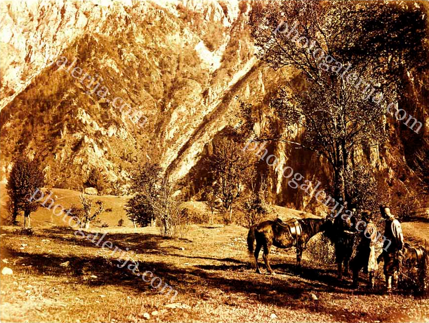 Lugari Zastitari Suma Flore I Faune Zelengore